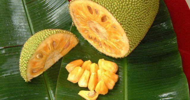 jack fruit fruit cake healthy jack fruit fruit cake healthy